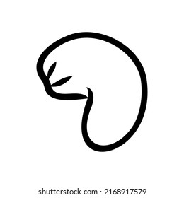 Kaschu-Nuss-Nuss. Kaschu-Handzeichnung, Vektorgrafik