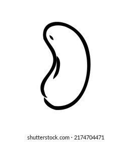 Nuez de nuez de cacahuete. Ilustración vectorial de dibujo manual en caja