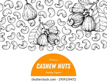 Cashew nuts hand drawn sketch. Nuts vector illustration. Organic healthy food. Great for packaging design. Engraved style. Black and white color.	