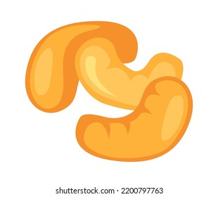 Cashew Nuts Healthy Food. Vector Illustration