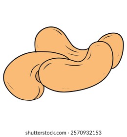cashew nuts illustration hand drawn isolated vector