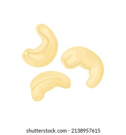 Cashew nuts isolated. Vector cartoon flat illustration. Organic food icon.