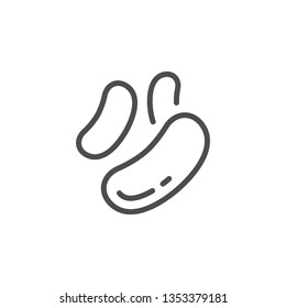 Cashew nuts line icon