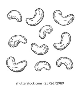 Cashew nuts on a white background. Set of cashew nuts in engraving style. Sketch drawing in vintage style. Food product for packaging, organic product.