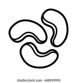 Cashew nuts or seeds line art vector icon for food apps and packaging