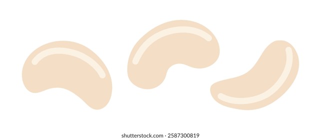 Cashew. Nuts set. Vegan food ingredients. Vector illustration isolated on white background