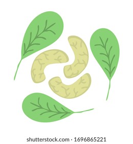 Cashew nuts simple vector icon
