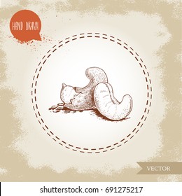 Cashew nuts sketch hand drawn. Group roasted nuts isolated on old background. Healthy eco food vector illustration.