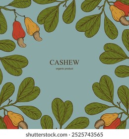 Cashew Nüsse Vektorkarte für Text. Handgezeichnete botanische Illustration Hintergrund mit Nüssen Pflanzenzweig, nussige Früchte, Blätter. Bio-Zutat, gesundes Essen, Öl, Ernte. Design für Beschriftung