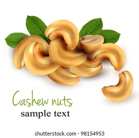 Cashew nuts. Vector illustration.