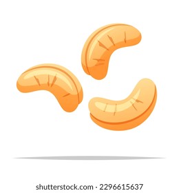 Cashew nuts vector isolated illustration