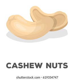 Cashew nuts.Different kinds of nuts single icon in cartoon style vector symbol stock illustration.