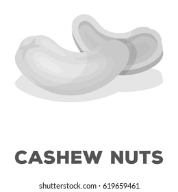 Cashew nuts.Different kinds of nuts single icon in monochrome style vector symbol stock illustration.