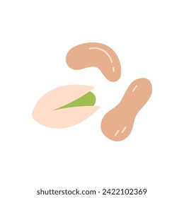 Cashew, peanut and pistachio, dry nuts with shell collection vector illustration