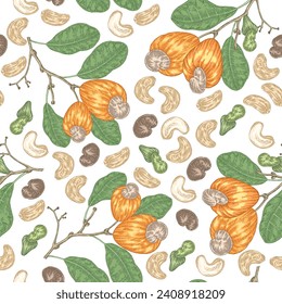 Cashew seamless pattern. Hand drawn Cashew tree nuts and leaves. Vector illustration in vintage style.