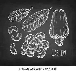 Cashew set. Chalk sketch of nuts on blackboard background. Hand drawn vector illustration. Retro style.