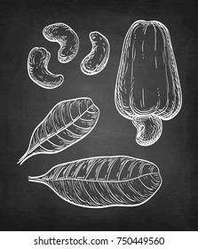 Cashew set. Chalk sketch of nuts on blackboard background. Hand drawn vector illustration. Retro style.