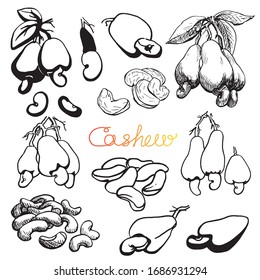 Conjunto de cajú, esbozo lineal. Dibujado a mano.Ilustración gráfica. Elementos de colección en blanco y negro