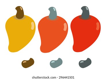 Cashew set vector