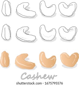 Cashew estableció la ilustración vectorial en el fondo blanco. Imagen de tuerca aislada.