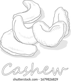Cashew set vector illustration on white background. Isolated nut image.