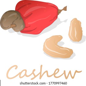 Cashew-Set, Vektorgrafik auf weißem Hintergrund. Einzelbild.