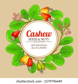 cashew vector frame on color background