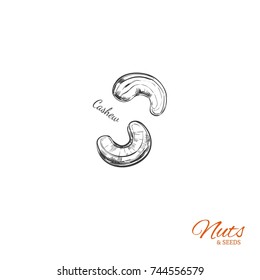 Cashew. Vector  Hand drawn  objects . Isolated on white. Sketch style
