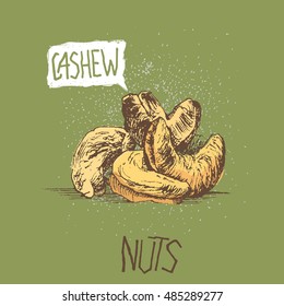 cashew. vector illustration, hand made. Pistachio . Walnut. Nut. Peanut. Almond. pecan Cashew .Hand drawn sketches vector illustration on green background in vintage style.