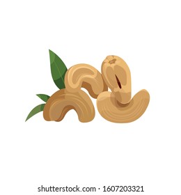 
Cashew vector image on a white background. A few cashew nuts.