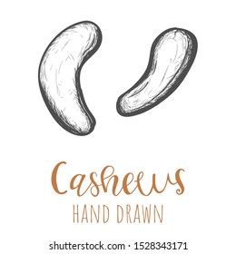 Cashews hand drawn illustration, isolated vector design element.