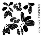 Cashews leaves and nuts silhouette stencil templates hand drawn illustration