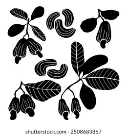 Cashews leaves and nuts silhouette stencil templates hand drawn illustration