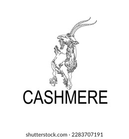 Cashmere goat. Boer goat standing view. Ink black, blue and white doodle drawing in ink drawing, calligraphy outline style. logotype Eps 10. Vector illustration. 