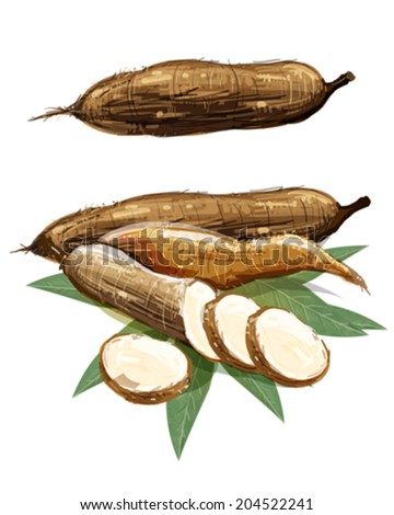 Cassava
