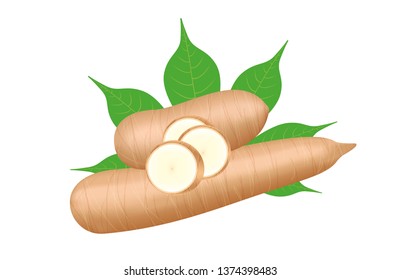 cassava fresh and leaf isolated on white background, raw cassava cut slice for tapioca flour industry or ethanol industry, pile yucca cassava tuber, raw manioc cassava in top view