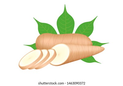 mandioca fresca y hoja aislada sobre fondo blanco, trozo de yuca cruda para la industria de la harina de tapioca o de etanol, tubérculo de mandioca, mandioca cruda, mandioca en la parte superior