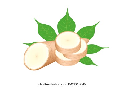 cassava fresh and leaf isolated on white background, raw cassava cut slice for tapioca flour industry or ethanol industry, pile yucca cassava tuber, raw manioc cassava in top view