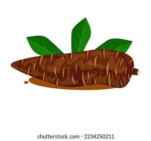 Cassava, frisch und Blatt einzeln auf weißem Hintergrund, roher Cassava-Schnitt-Slice für die Tapioca-Mehlindustrie oder die Ethanolindustrie, Cassava-Gurkenkassava, roher Maniokcassava in Draufsicht