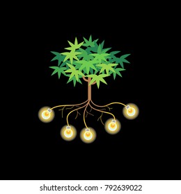Cassava has roots as a light bulb.