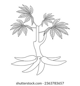 Cassava icon vector illustration symbol design