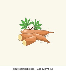cassava illustration vector eps 10