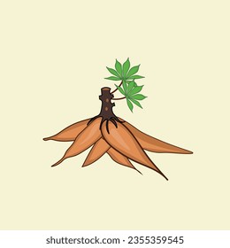 cassava illustration vector eps 10