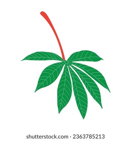 Cassava leaf icon vector symbol design