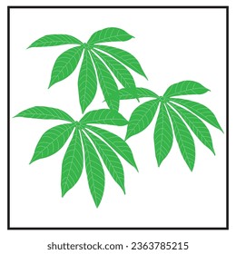 Cassava leaf icon vector symbol design