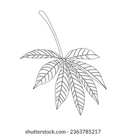 Cassava leaf icon vector symbol design