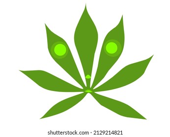 Cassava leaf monster. Isolated white background