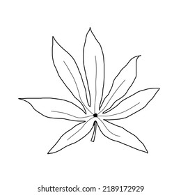 dibujo de la hoja de yuca para colorear. en venta. listo para imprimir. para niños