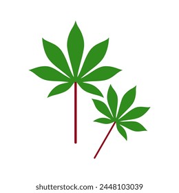 Cassava leaf vector isolated illustration on white background.