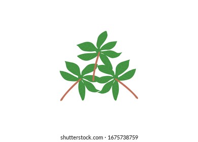 Cassava Leaves Vektorillustration Illustration von Gemüse